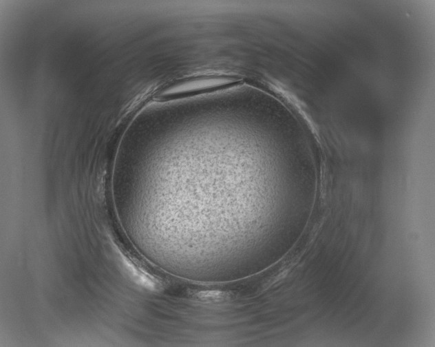 X0000078860153200611201322