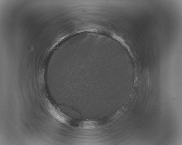 X0000078860154200611201322