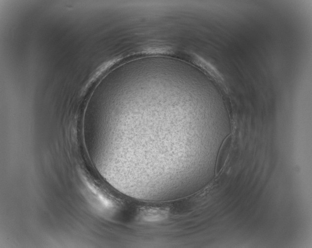 X0000078860155200611201322