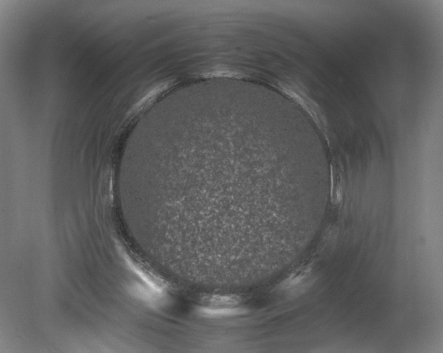 X0000078860157200611201322