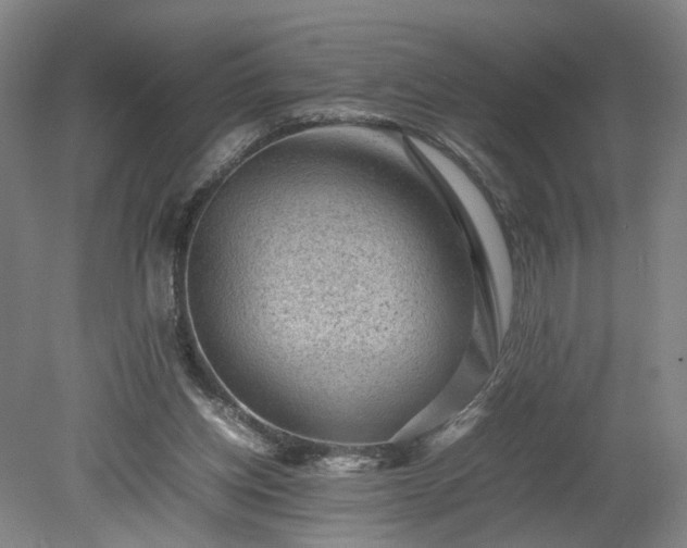 X0000078860158200611201322