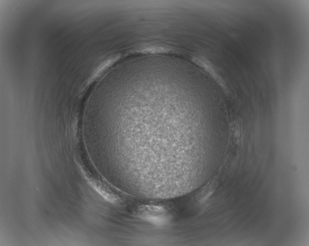 X0000078860159200611201322