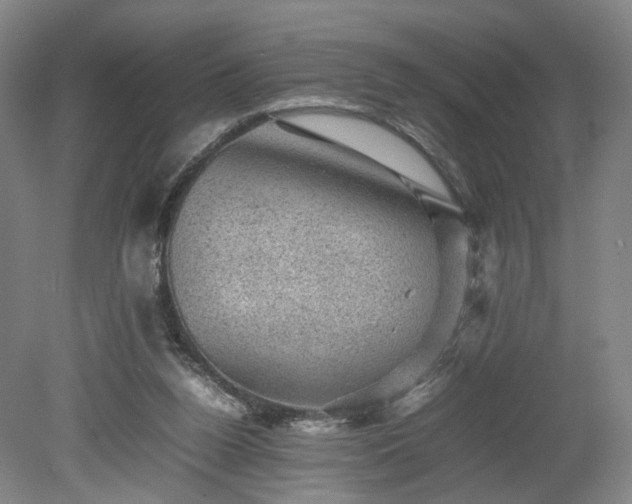 X0000078860160200611201322