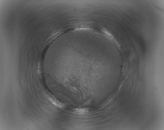 X0000078860161200611201322