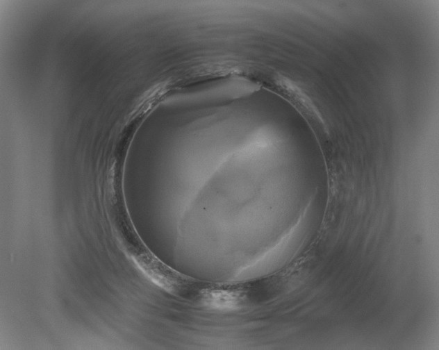 X0000078860163200611201322