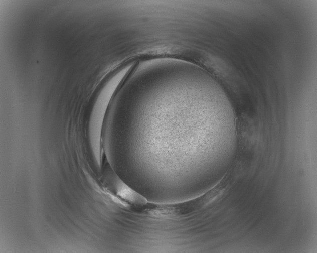 X0000078860164200611201322