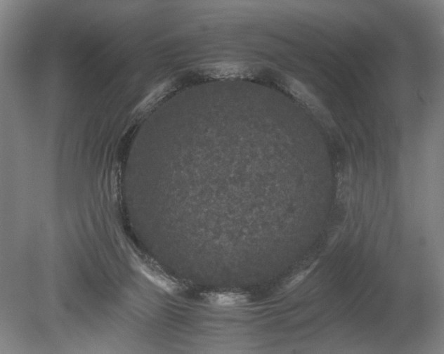 X0000078860165200611201322