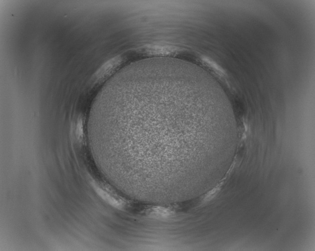 X0000078860166200611201323