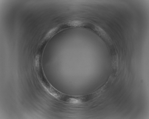 X0000078860167200611201323