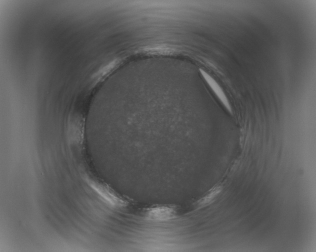 X0000078860168200611201323