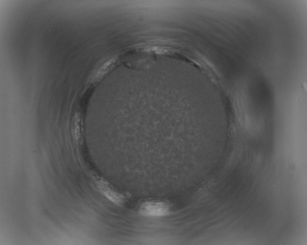 X0000078860169200611201323