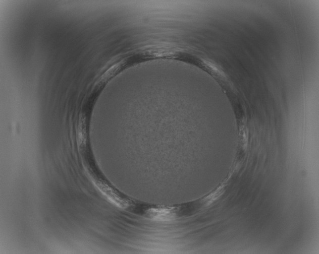 X0000078860170200611201323