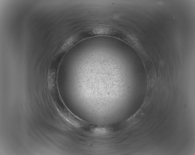 X0000078860171200611201323