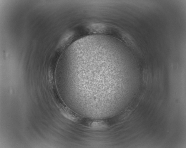 X0000078860173200611201323