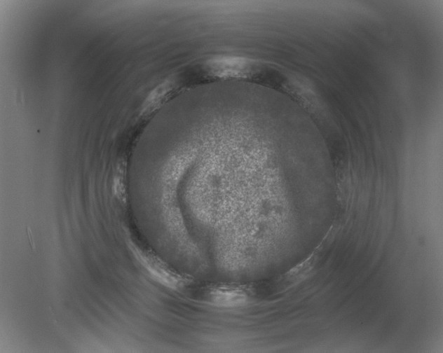 X0000078860175200611201323