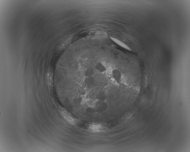 X0000078860177200611201323