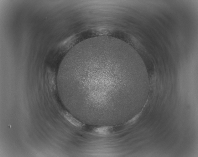 X0000078860178200611201323