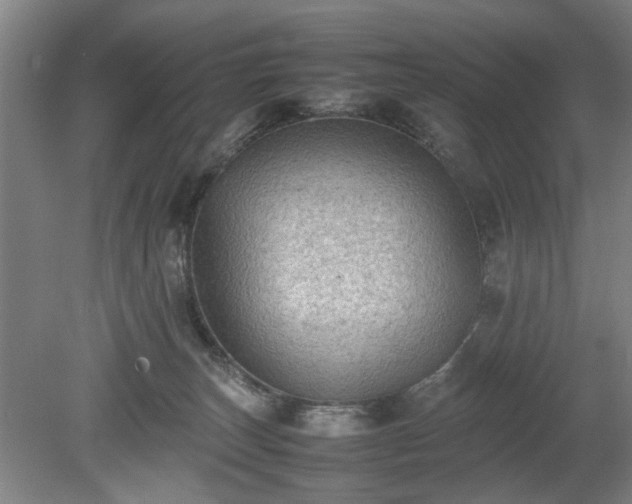 X0000078860179200611201323