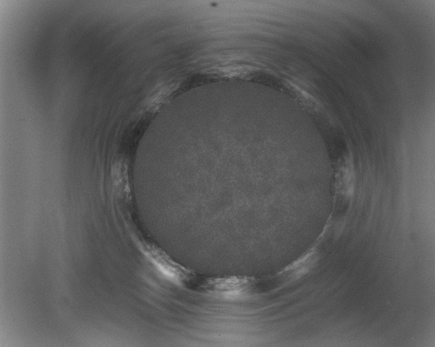 X0000078860182200611201323