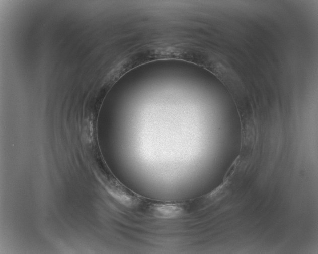 X0000078860183200611201323