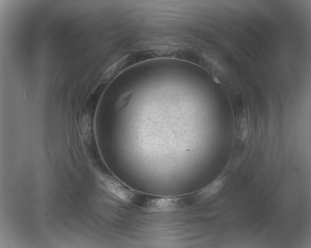 X0000078860184200611201323