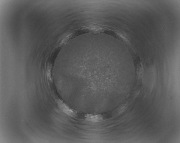 X0000078860185200611201323