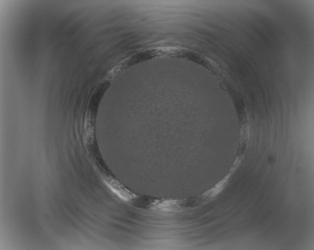 X0000078860186200611201323