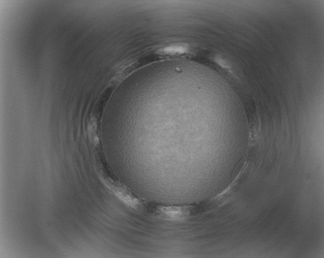 X0000078860187200611201323