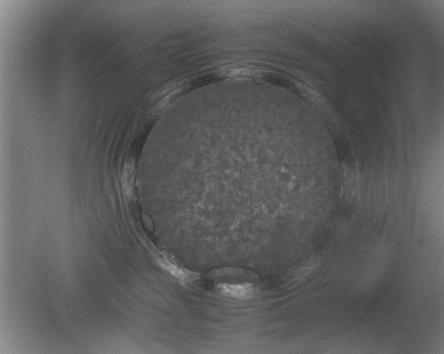 X0000078860189200611201323