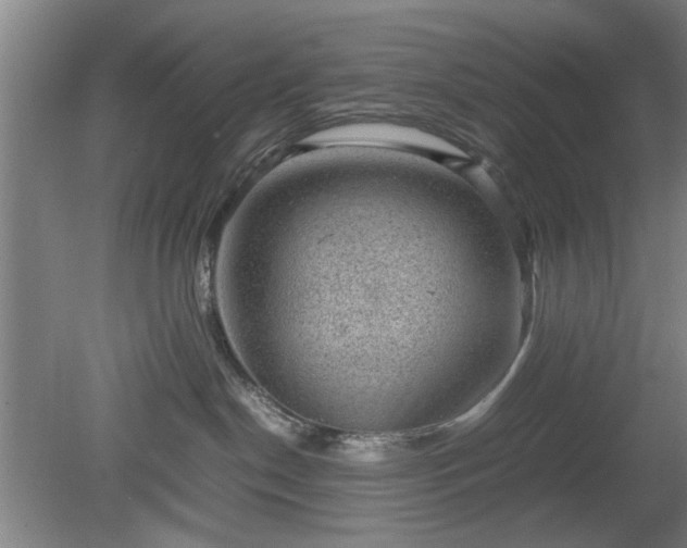 X0000078860190200611201323