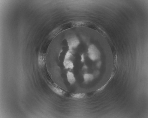 X0000078860191200611201323