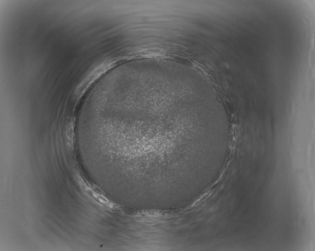 X0000078860194200611201322