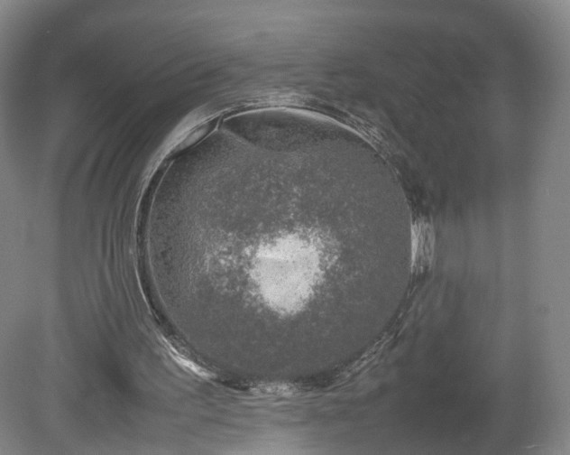 X0000078860195200611201322