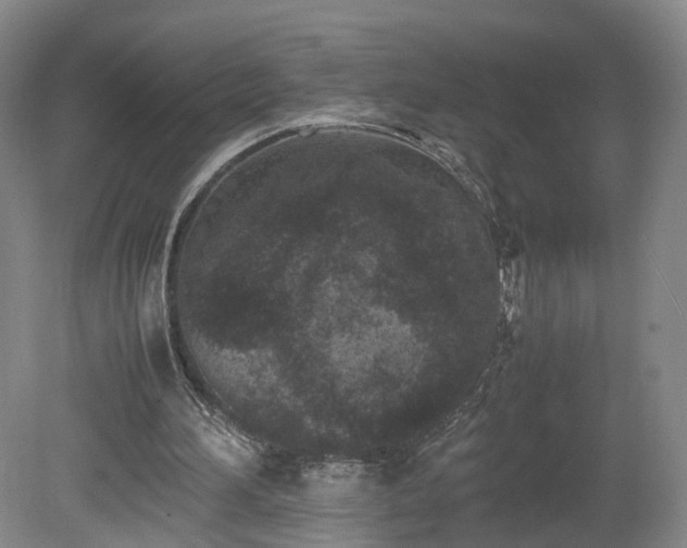 X0000078860196200611201322