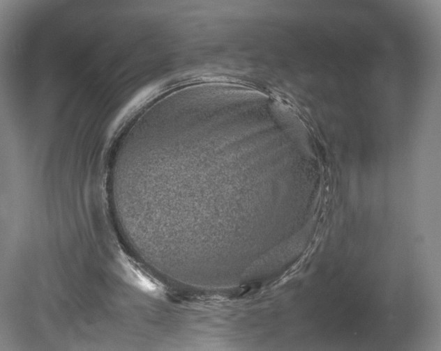 X0000078860197200611201322