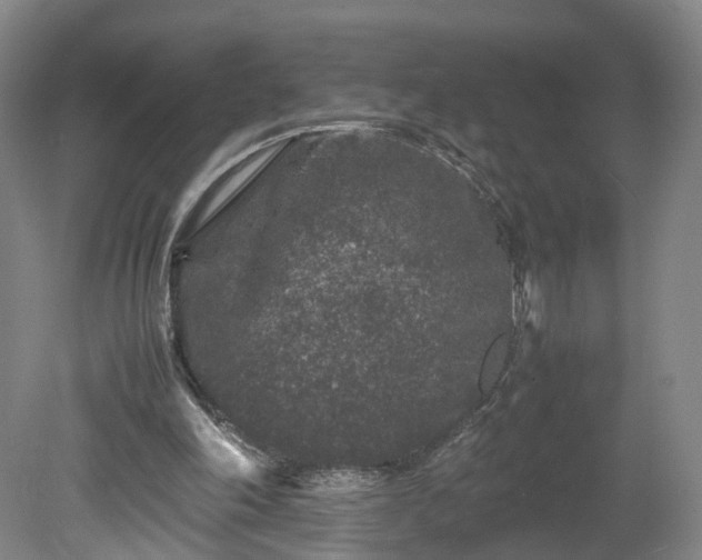 X0000078860198200611201322