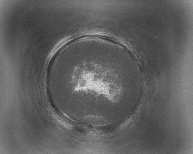 X0000078860199200611201322