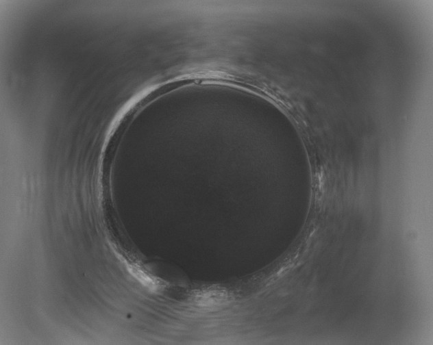 X0000078860200200611201322