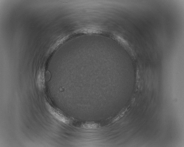 X0000078860202200611201322