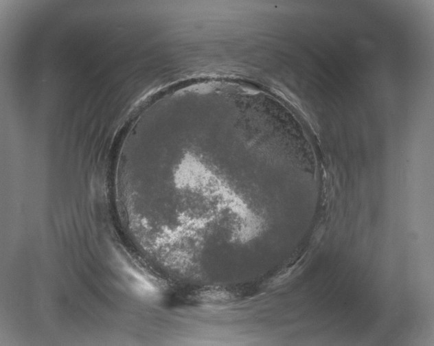 X0000078860203200611201322