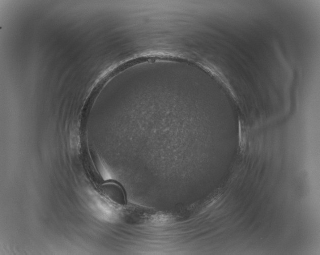 X0000078860204200611201322