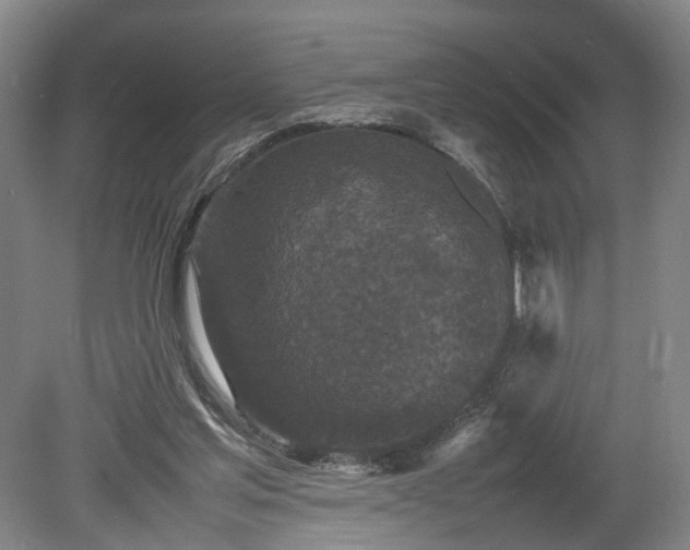 X0000078860205200611201322