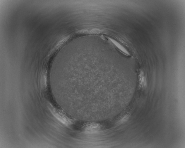 X0000078860206200611201322