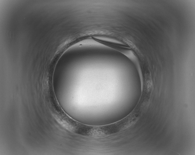 X0000078860207200611201322