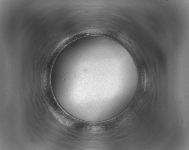 X0000078860208200611201322