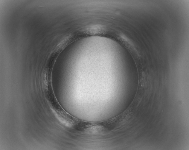 X0000078860210200611201322