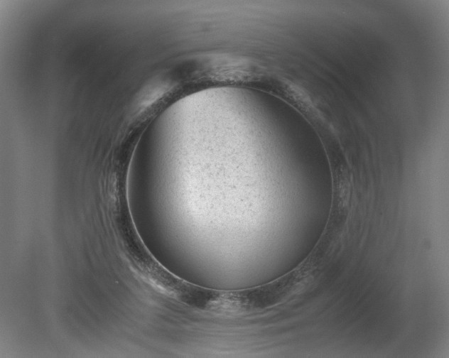 X0000078860211200611201322