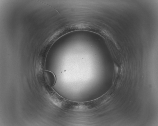 X0000078860212200611201322