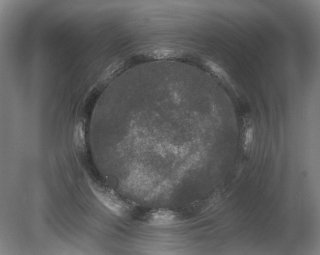 X0000078860214200611201322