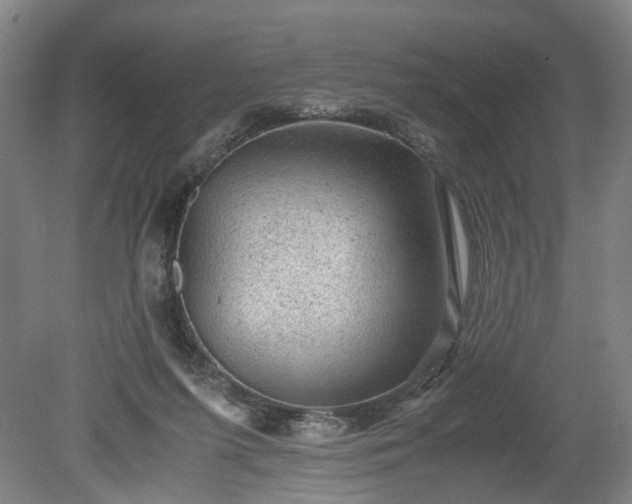 X0000078860215200611201322